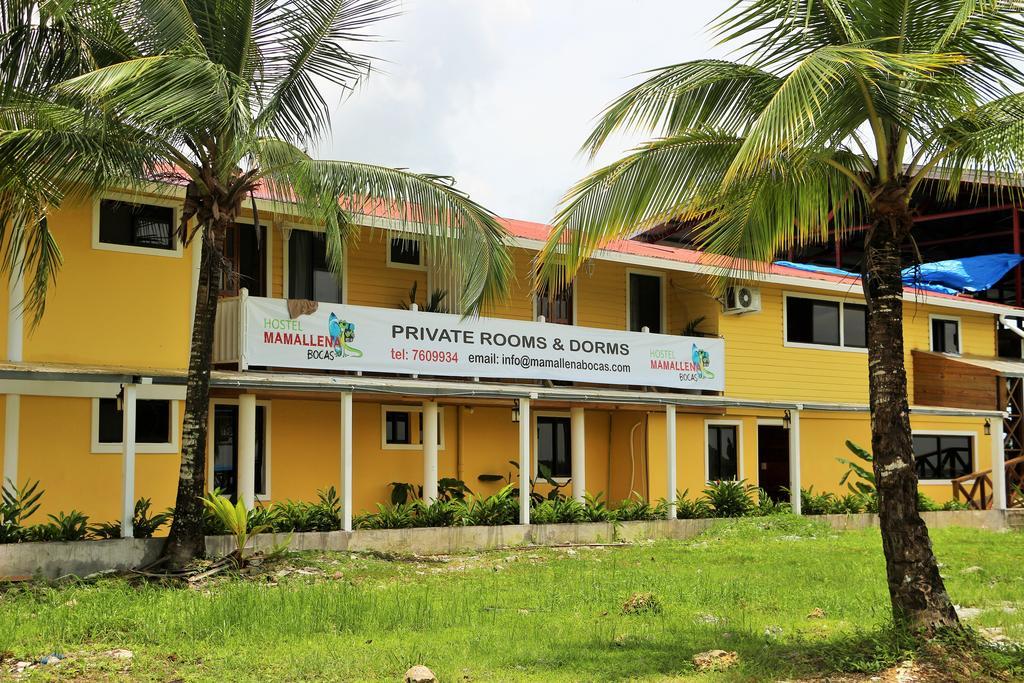 Hostel Mamallena Bocas Del Toro (Adults Only) Dış mekan fotoğraf