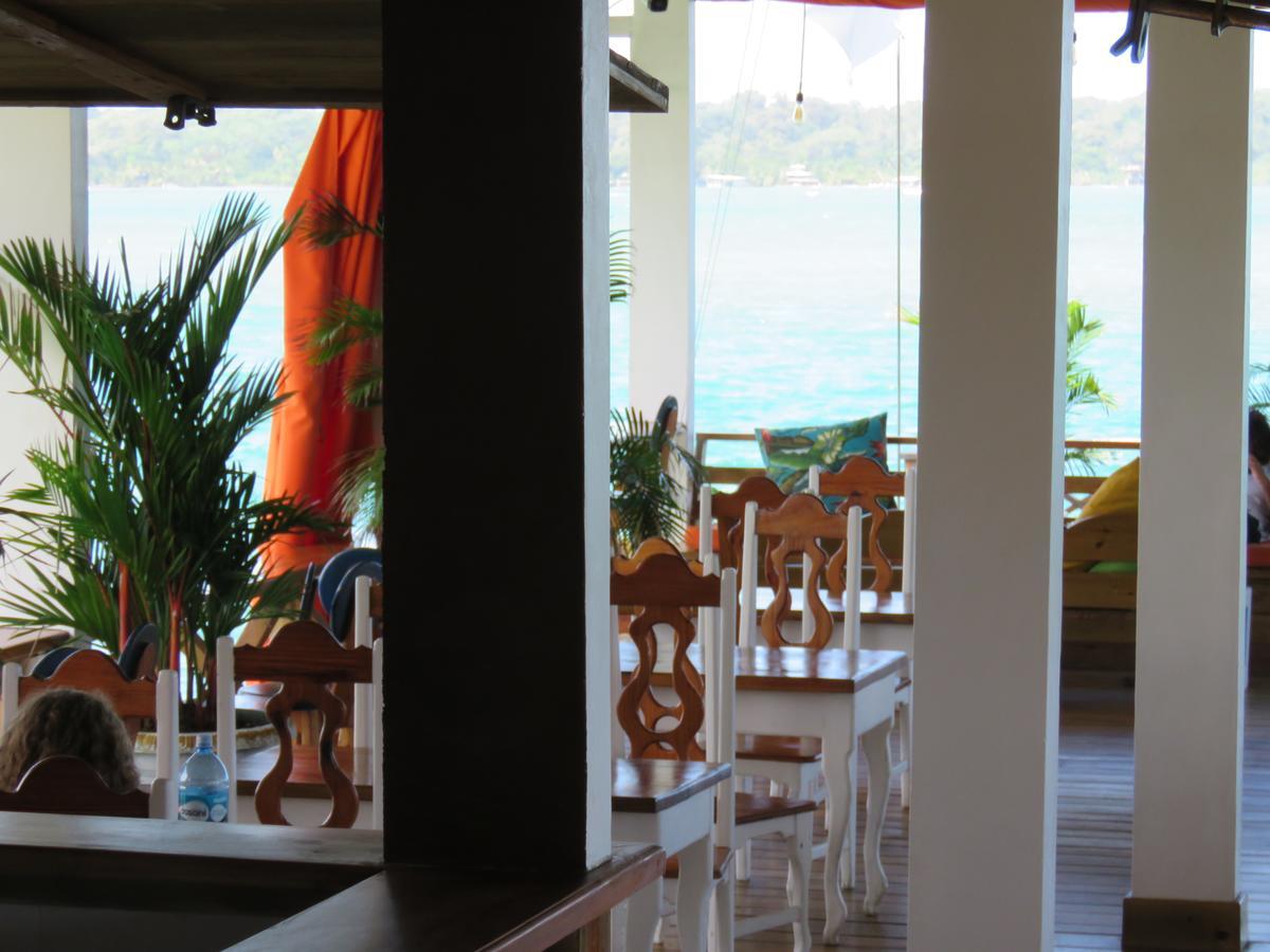 Hostel Mamallena Bocas Del Toro (Adults Only) Dış mekan fotoğraf