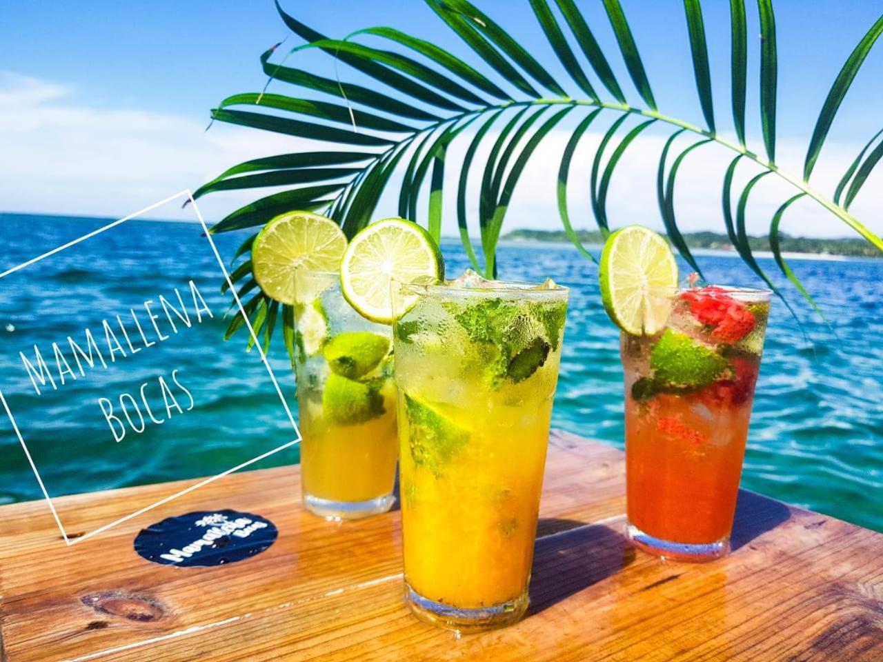 Hostel Mamallena Bocas Del Toro (Adults Only) Dış mekan fotoğraf